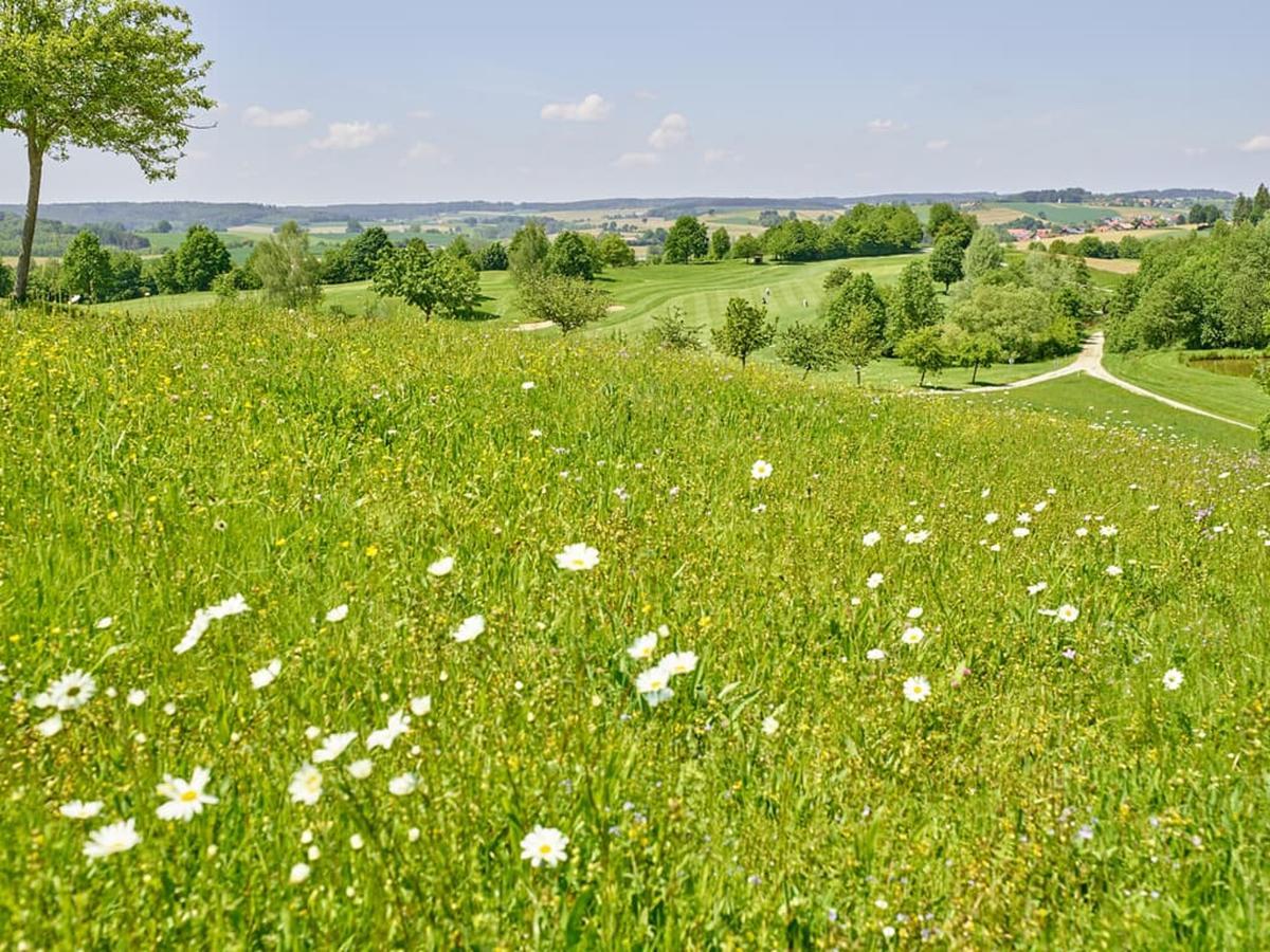 Gutshof Brunnwies Haarbach Exterior photo